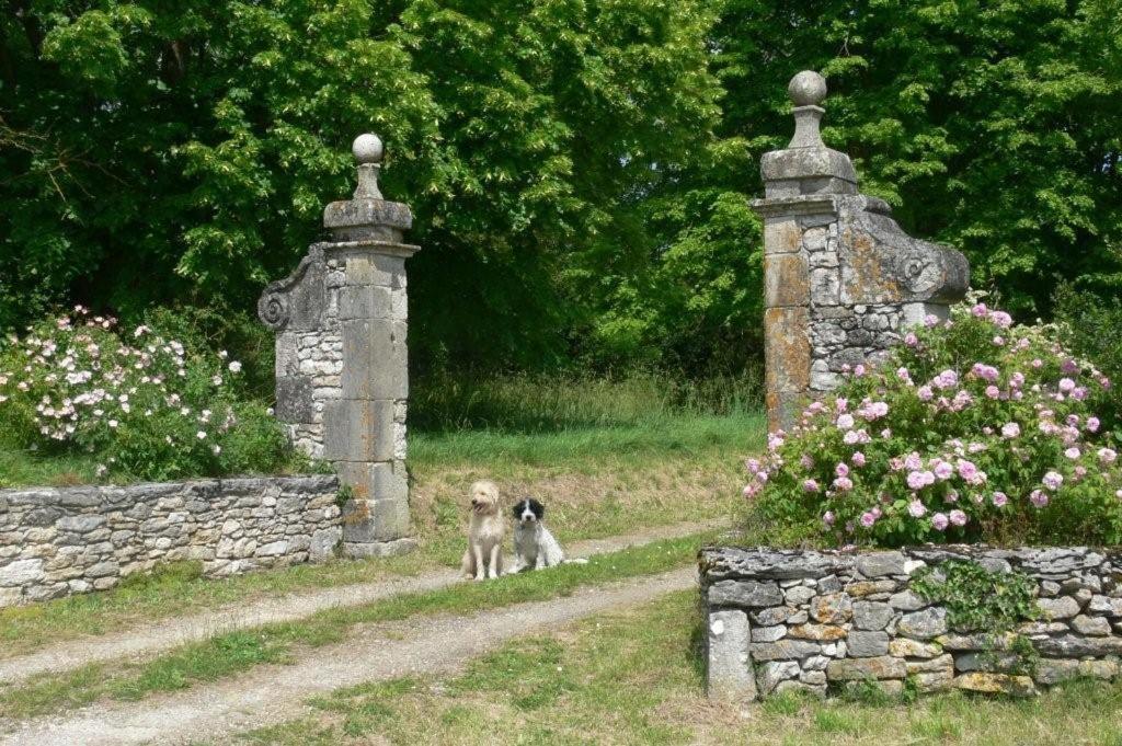 La Maisou-Pastel Et Fleur Sérignac Buitenkant foto